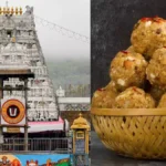 tirupati ladoo controversy