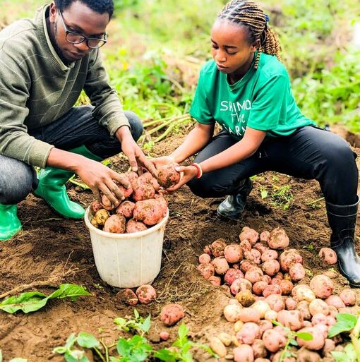 Agriculture and youth 