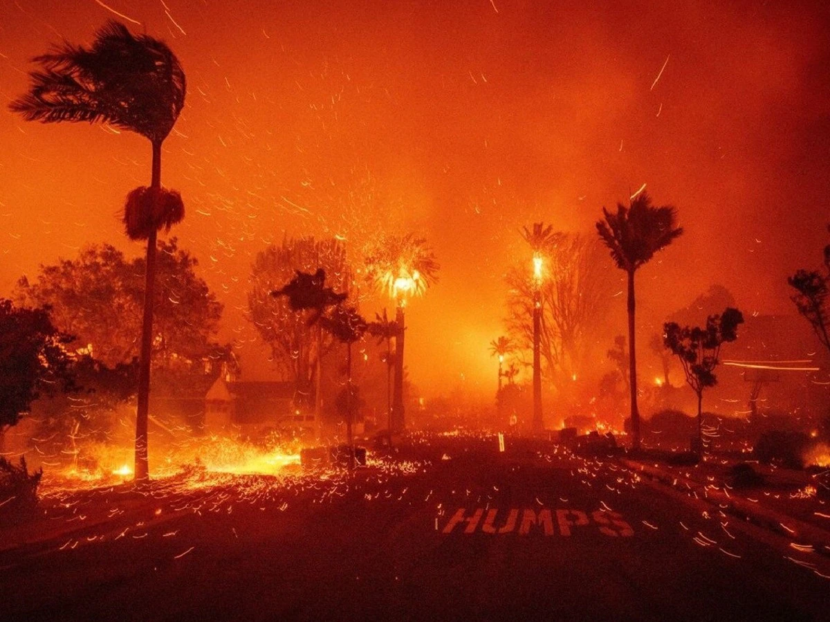 Callifornia forest catch fire